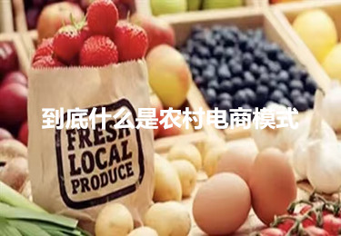 到底什么是農(nóng)村電商模式