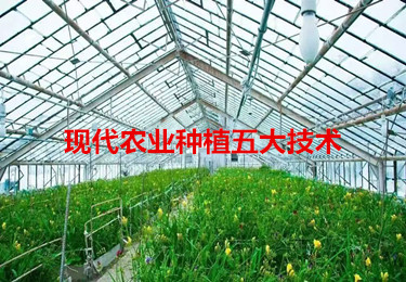 現(xiàn)代種植五大技術(shù)