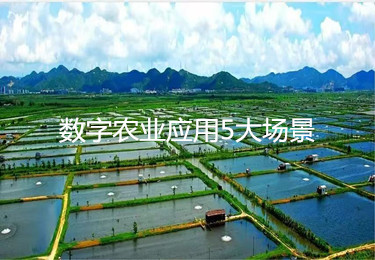 農(nóng)業(yè)強(qiáng)國新圖景，數(shù)字農(nóng)業(yè)應(yīng)用5大場景